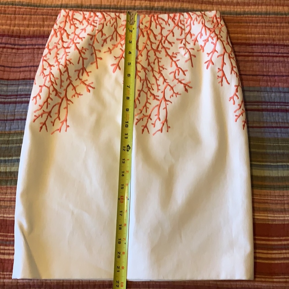 Beautiful Embroidered Lined Skirt Sz 2 - Picture 5 of 12